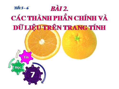 TIN 7 BAI 2