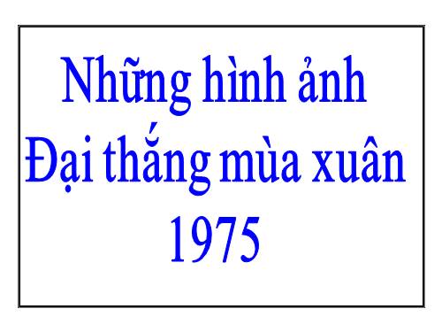 hinh anh chien dich Ho Chi Minh