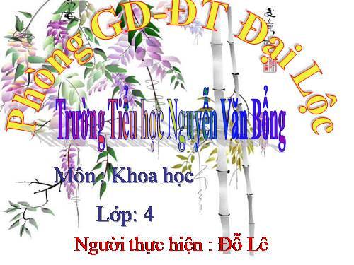 Bài 14. Cuộc kháng chiến chống quân xâm lược Mông - Nguyên