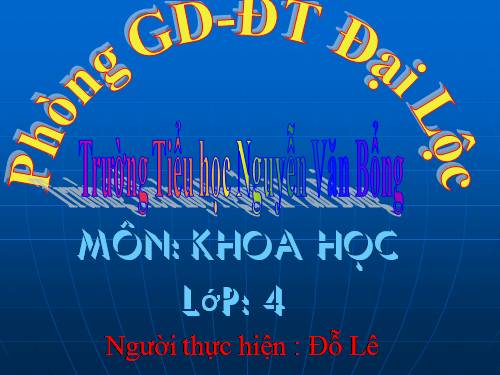 Bài 13. Nhà Trần và việc đắp đê