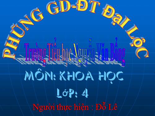 Bài 13. Nhà Trần và việc đắp đê