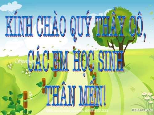 Bài 5. Chiến thắng Bạch Đằng do Ngô Quyền lãnh đạo (Năm 938)