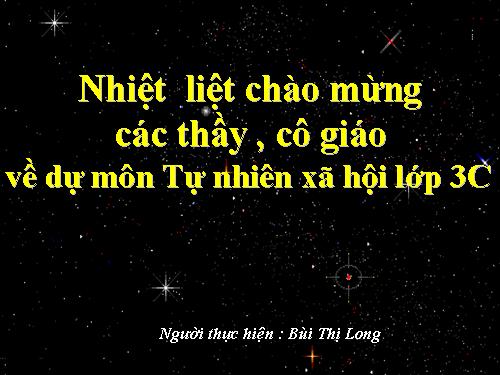 Bài 5. Chiến thắng Bạch Đằng do Ngô Quyền lãnh đạo (Năm 938)