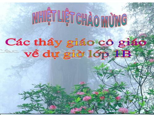 Tuần 3. Nhà bà ngoại