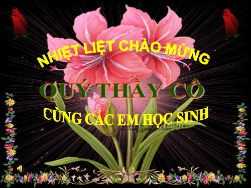 Tuần 9. Hồ Gươm