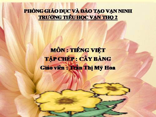 Tuần 10. Cây bàng