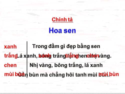 Tuần 6. Hoa sen