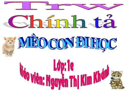 Tuần 7. Mèo con đi học