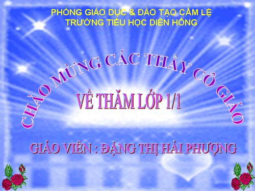 Tuần 7. Mèo con đi học