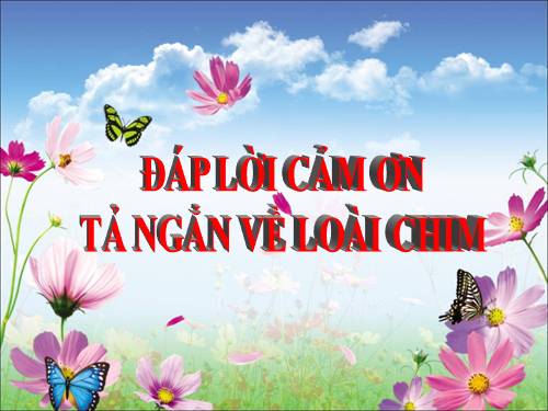 Tuần 21. Đáp lời cảm ơn. Tả ngắn về loài chim