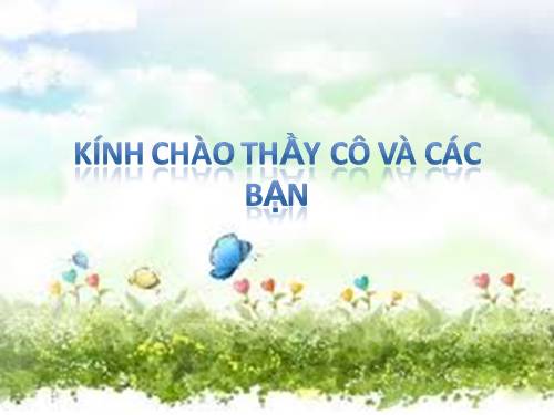 Tuần 4. Cảm ơn, xin lỗi