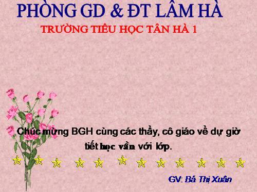 Tuần 4. Cảm ơn, xin lỗi