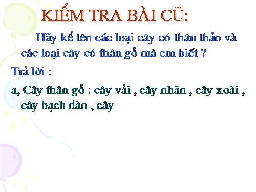 Tuần 4. Cảm ơn, xin lỗi