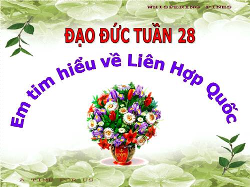 Bài 13. Em tìm hiểu về Liên hợp quốc