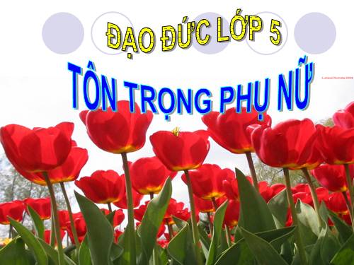 Bài 7. Tôn trọng phụ nữ