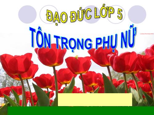 Bài 7. Tôn trọng phụ nữ