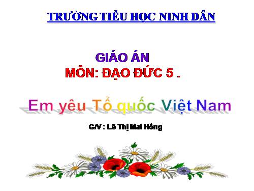 Bài 11. Em yêu Tổ quốc Việt Nam