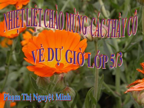 Bài 6. Kính già, yêu trẻ