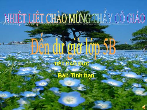 Bài 5. Tình bạn