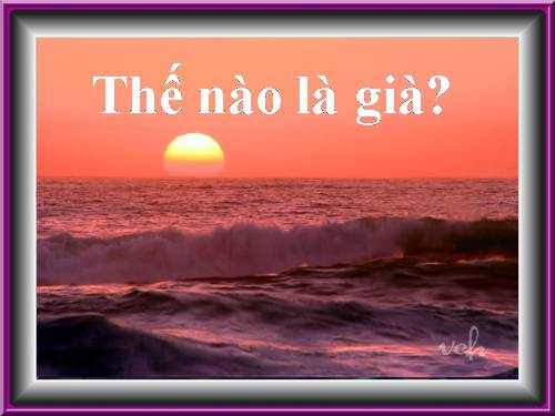 The nao la gia _! (Nghe thuat song)