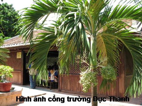 Hình ảnh trường Dục Thanh