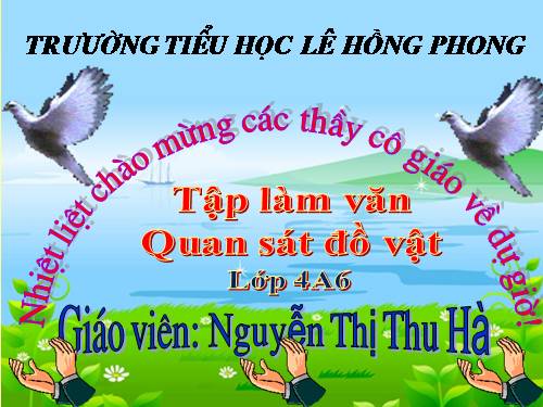 Tuần 15. Quan sát đồ vật