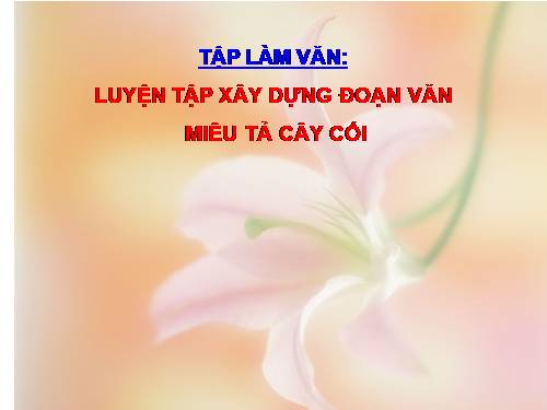 Tuần 24. Luyện tập xây dựng đoạn văn miêu tả cây cối