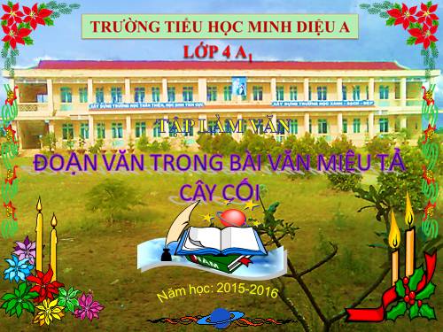 Tuần 24. Luyện tập xây dựng đoạn văn miêu tả cây cối