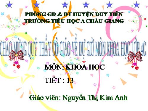 Tuần 7-8-9. Luyện tập phát triển câu chuyện