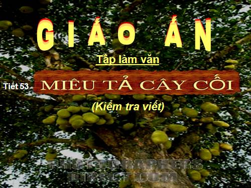 Tuần 27. Miêu tả cây cối (Kiểm tra viết)