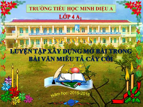 Tuần 25. Luyện tập xây dựng mở bài trong bài văn miêu tả cây cối