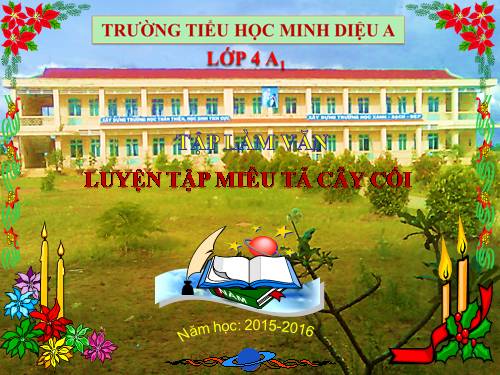 Tuần 24. Luyện tập xây dựng đoạn văn miêu tả cây cối