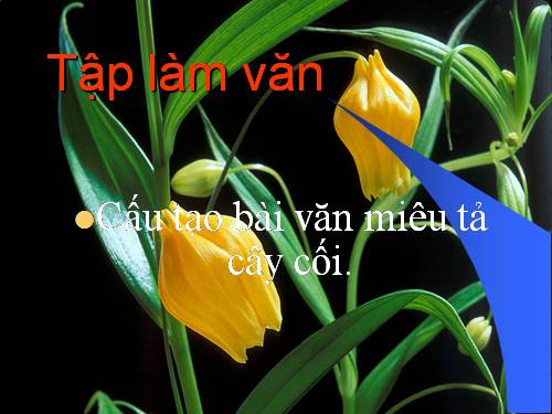 Tuần 14. Cấu tạo bài văn miêu tả đồ vật