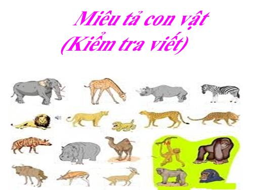 Tuần 33. Miêu tả con vật (Kiểm tra viết)