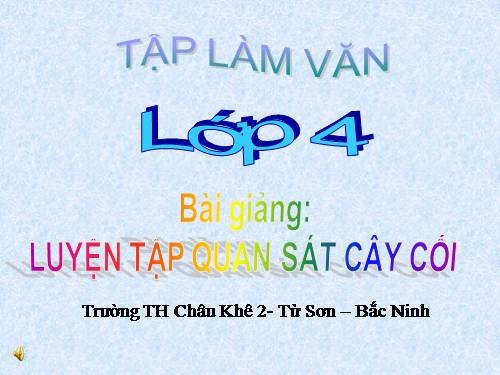 Tuần 22. Luyện tập quan sát cây cối