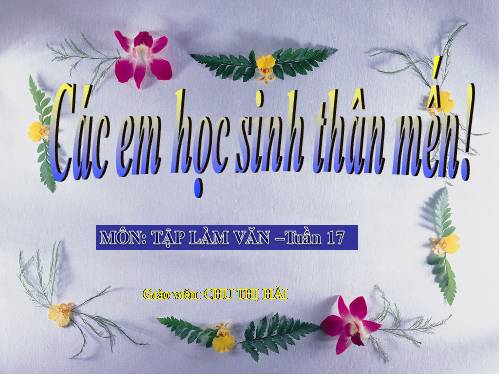Tuần 17. Đoạn văn trong bài văn miêu tả đồ vật