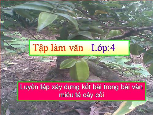 Tuần 26. Luyện tập xây dựng kết bài trong bài văn miêu tả cây cối