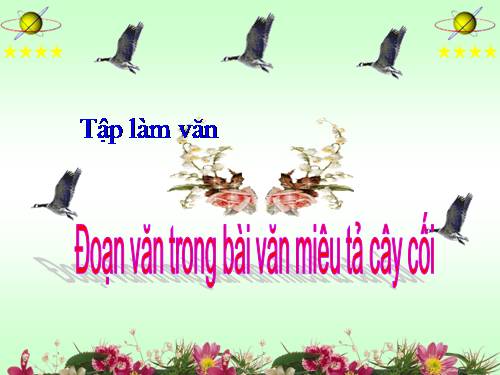 Tuần 23. Đoạn văn trong bài văn miêu tả cây cối