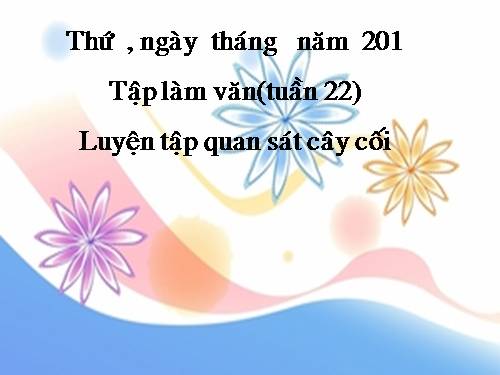 Tuần 22. Luyện tập quan sát cây cối