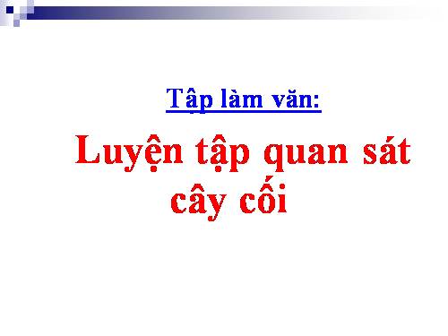 Tuần 22. Luyện tập quan sát cây cối