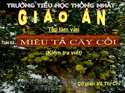 Tuần 27. Miêu tả cây cối (Kiểm tra viết)