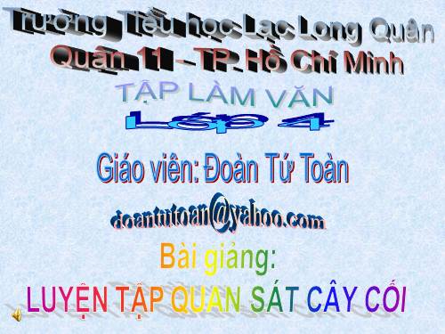 Tuần 22. Luyện tập quan sát cây cối