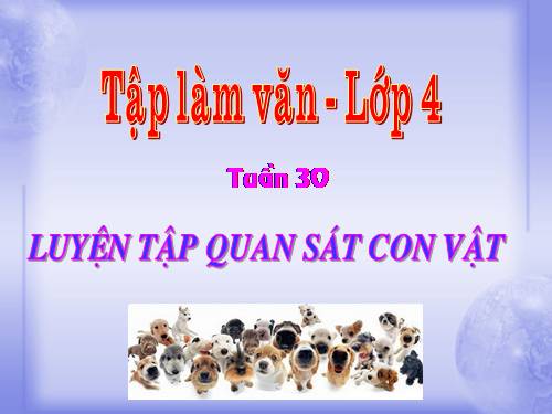 Tuần 30. Luyện tập quan sát con vật