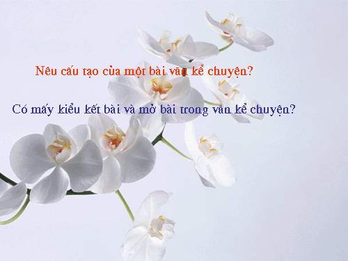 Tuần 13. Ôn tập văn kể chuyện