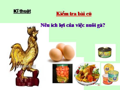 Bài 19. Nước nhà bị chia cắt