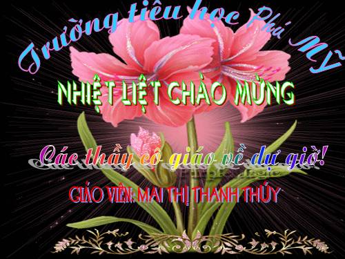 Bài 19. Nước nhà bị chia cắt