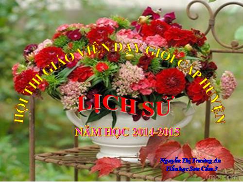 Bài 17. Chiến thắng lịch sử Điện Biên Phủ