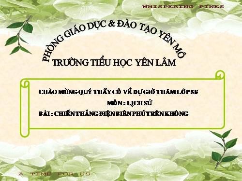 Bài 24. Chiến thắng Điện Biên Phủ trên không