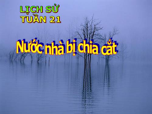 Bài 19. Nước nhà bị chia cắt