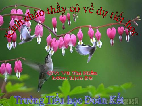 Bài 17. Chiến thắng lịch sử Điện Biên Phủ